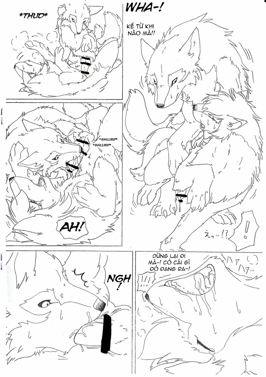 The love story of Ame and Mr Wolf 