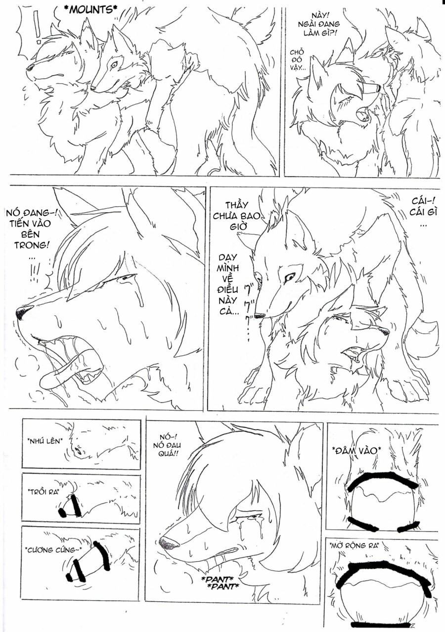The love story of Ame and Mr Wolf 