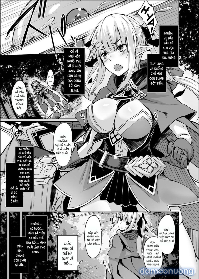 ELFIN QUEST 