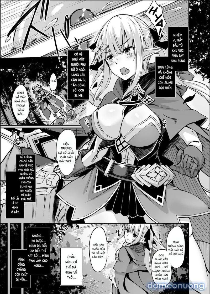 ELFIN QUEST 