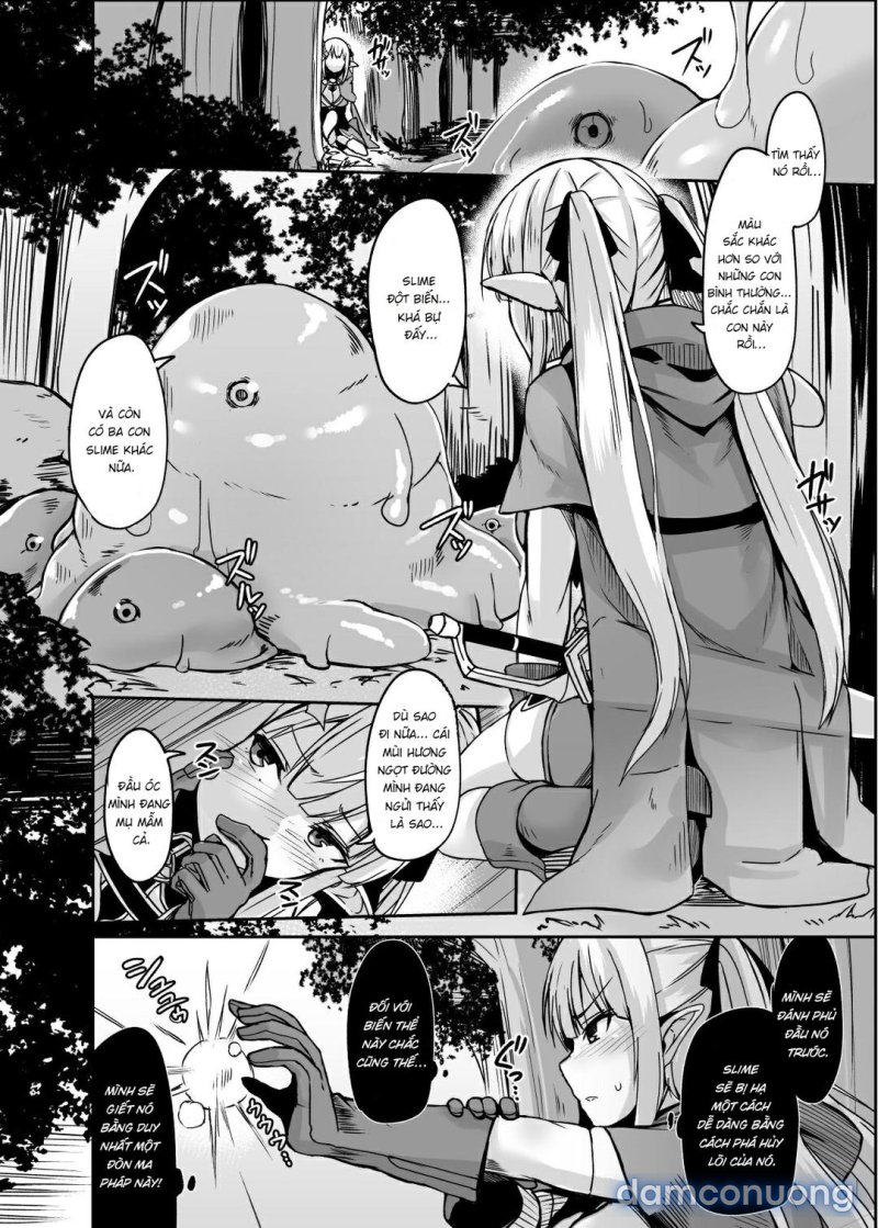 ELFIN QUEST 