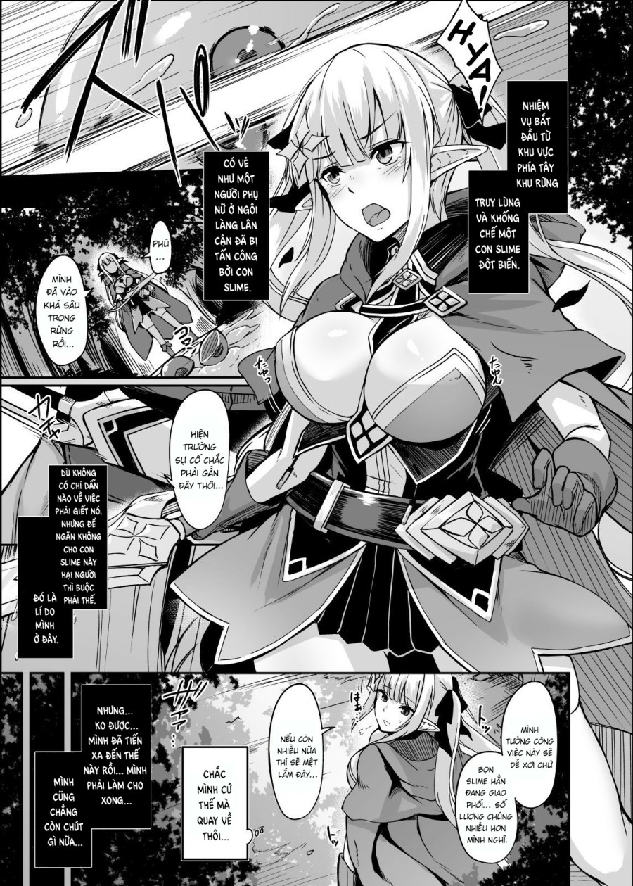 ELFIN QUEST 