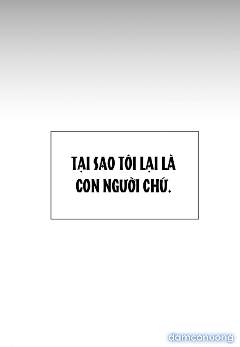 [18+] Mong Ước Của Ác Quỷ 