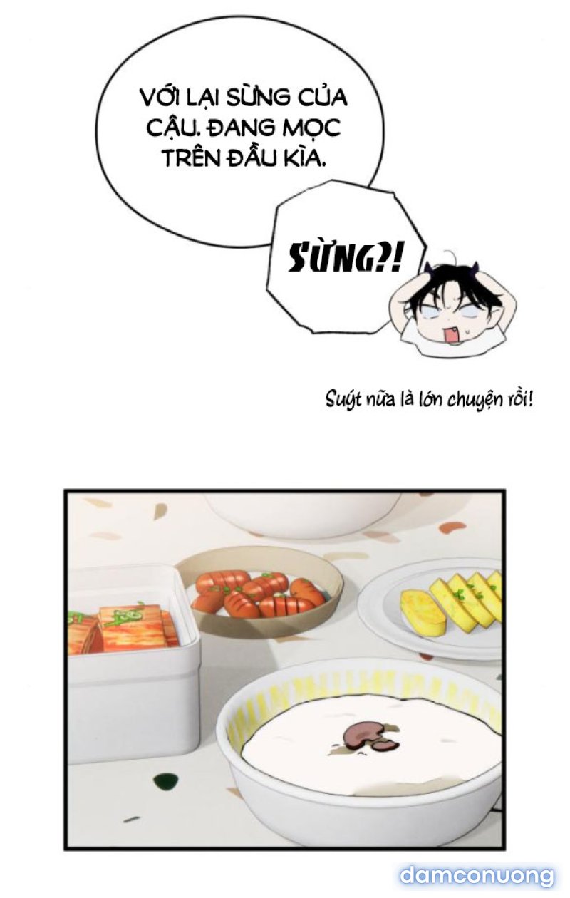 [18+] Mong Ước Của Ác Quỷ 
