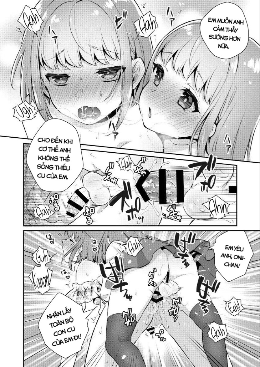 Okkii Imouto Chicchai Ani 