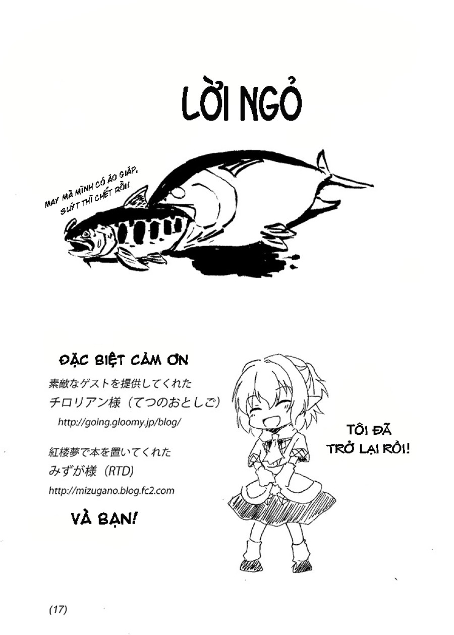 Mèo Ghét Cá 