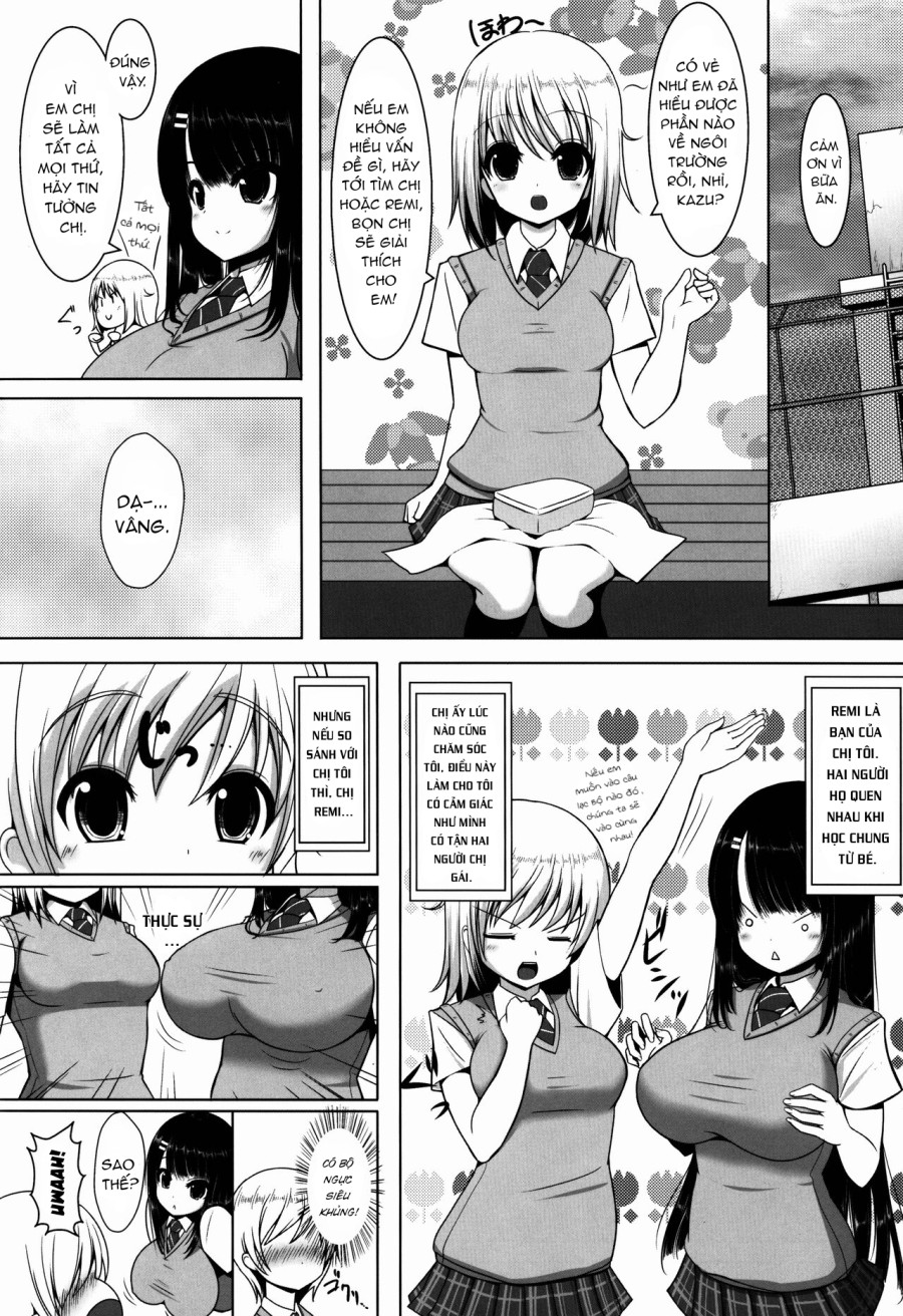 Anetomo 1 