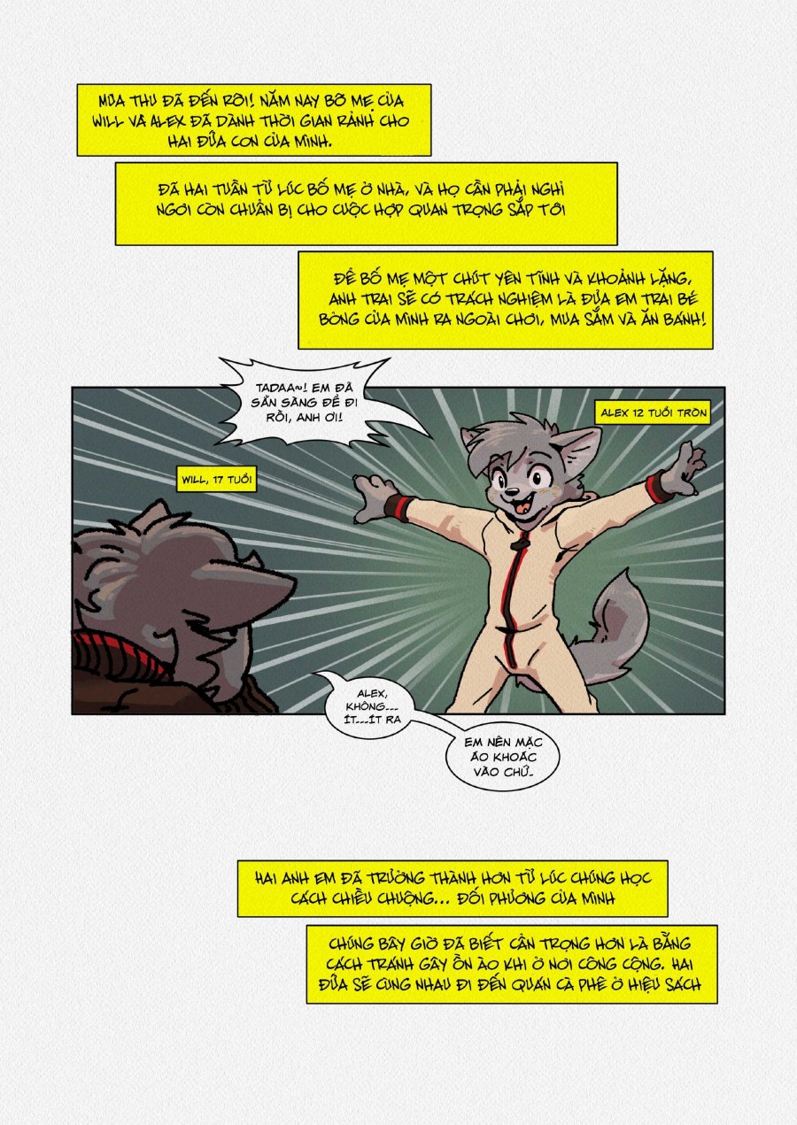 A Brief Intermission 