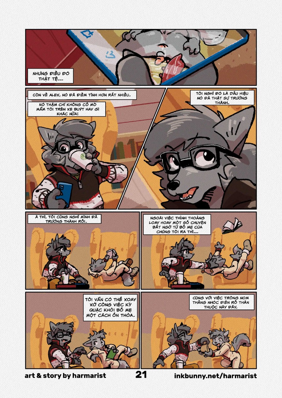 A Brief Intermission 