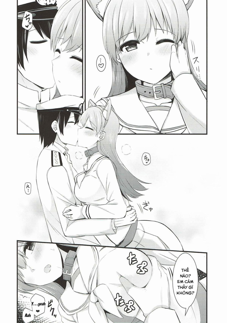 Ooi! Đeo tai mèo lên đi! (Kantai Collection -KanColle-) 
