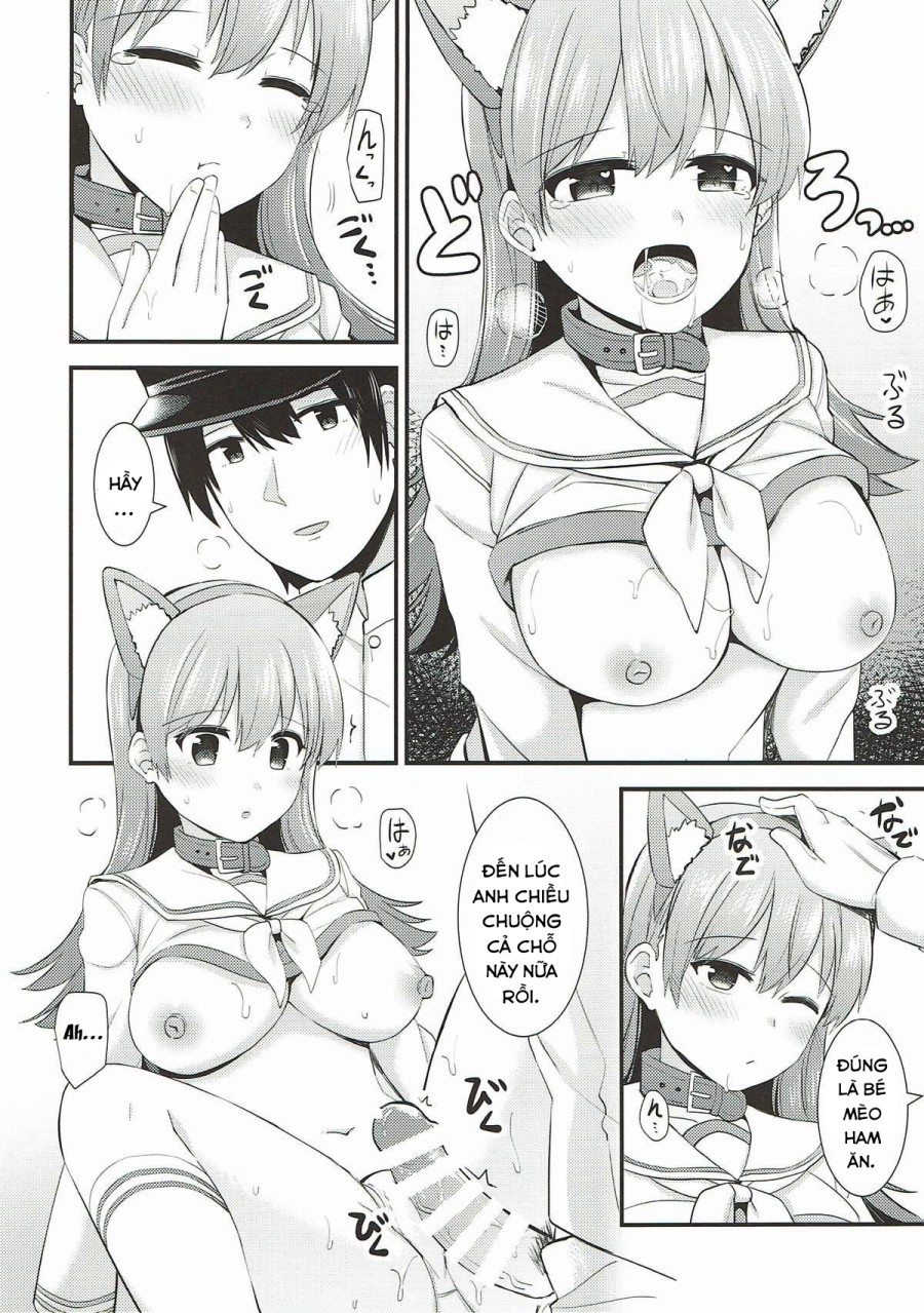 Ooi! Đeo tai mèo lên đi! (Kantai Collection -KanColle-) 