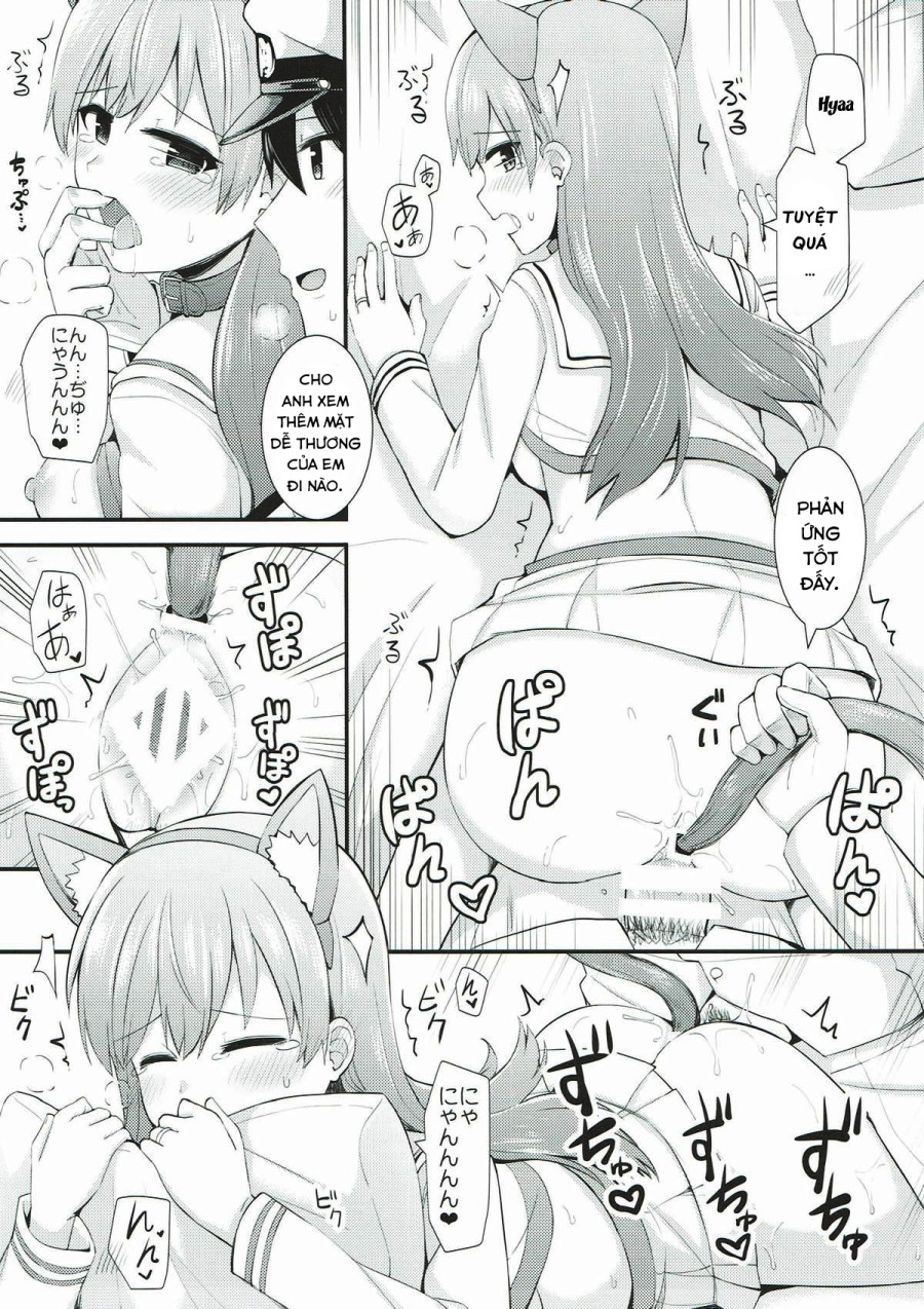 Ooi! Đeo tai mèo lên đi! (Kantai Collection -KanColle-) 