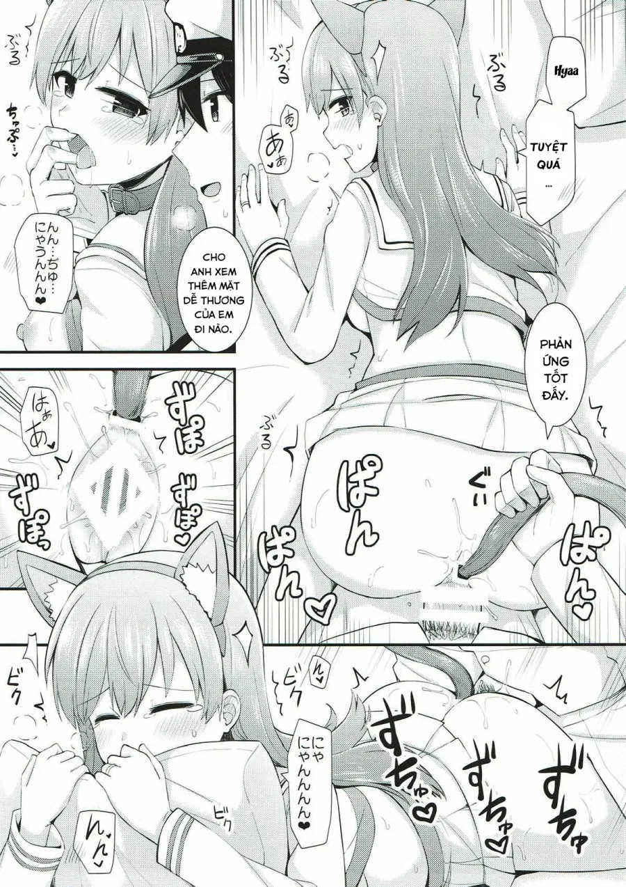 Ooi! Đeo tai mèo lên đi! (Kantai Collection -KanColle-) 