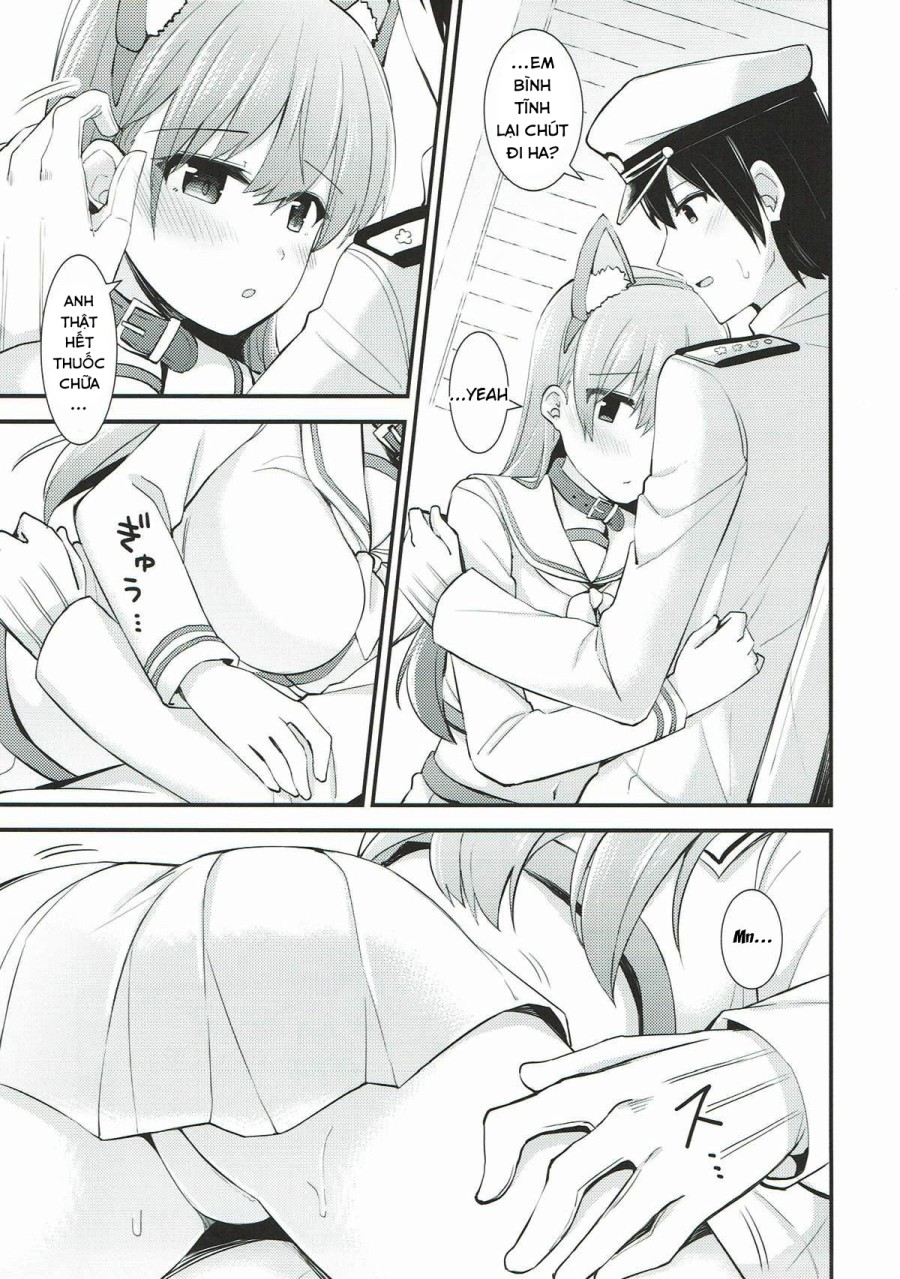 Ooi! Đeo tai mèo lên đi! (Kantai Collection -KanColle-) 