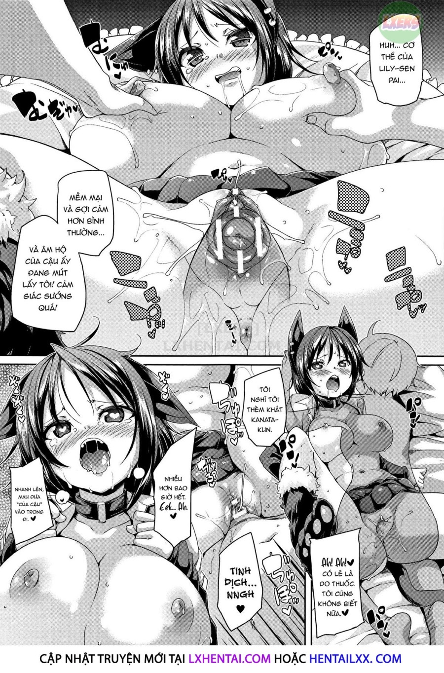 Ran-Drop! 