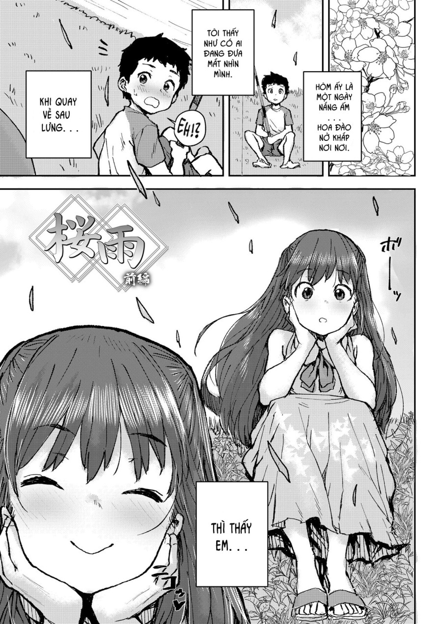Sakura Ame 