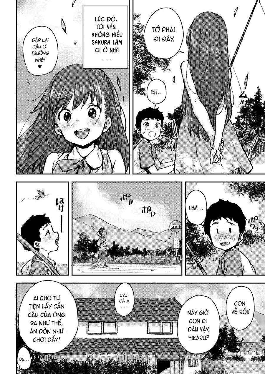 Sakura Ame 