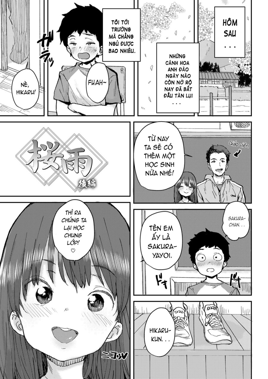 Sakura Ame 