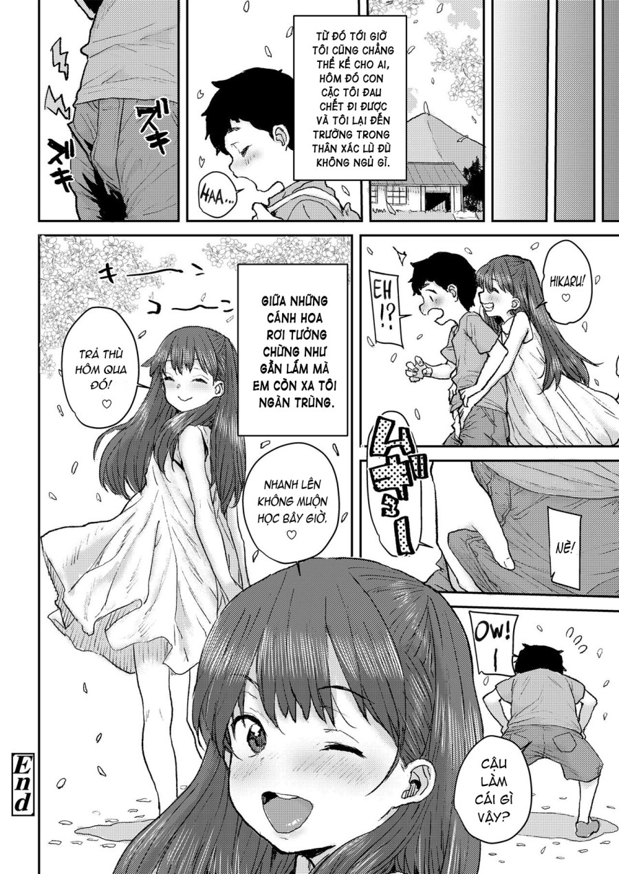 Sakura Ame 