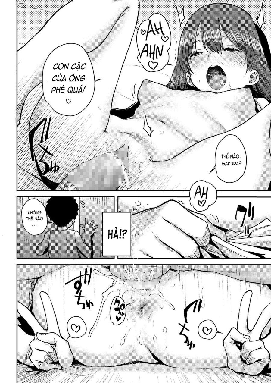 Sakura Ame 