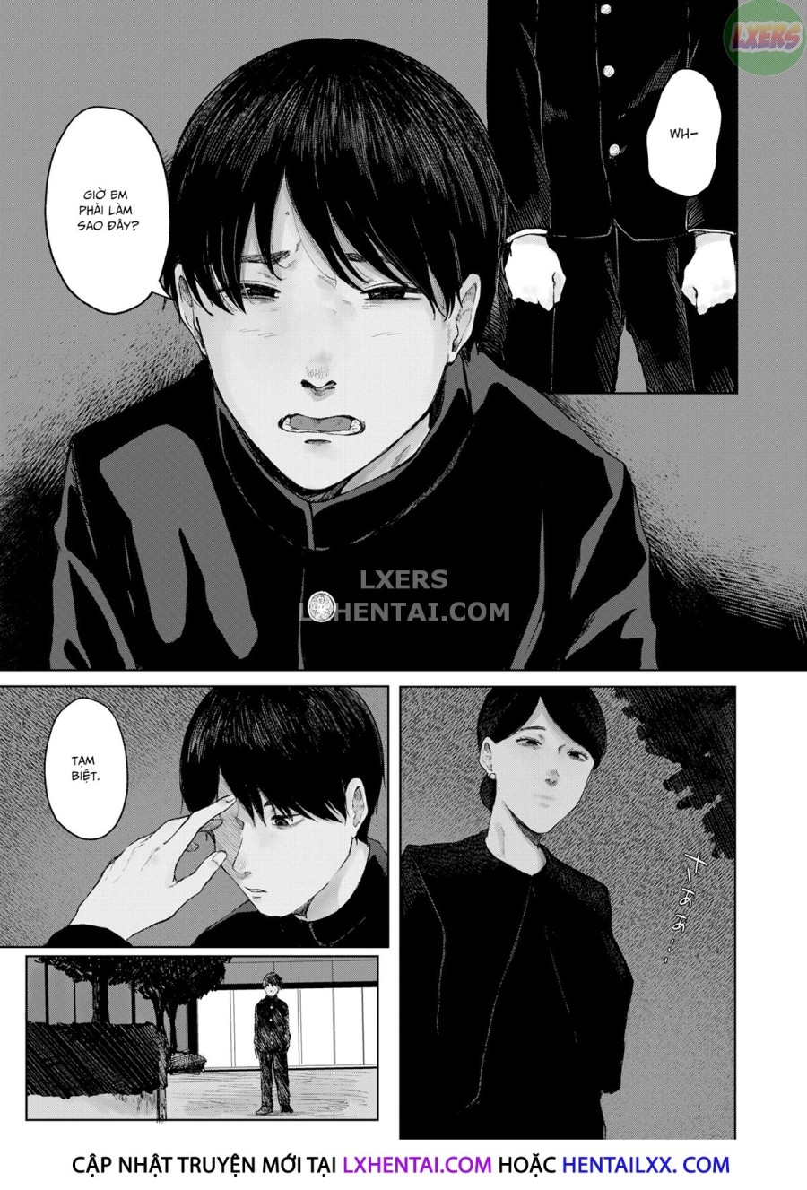 Đậm & Xanh 