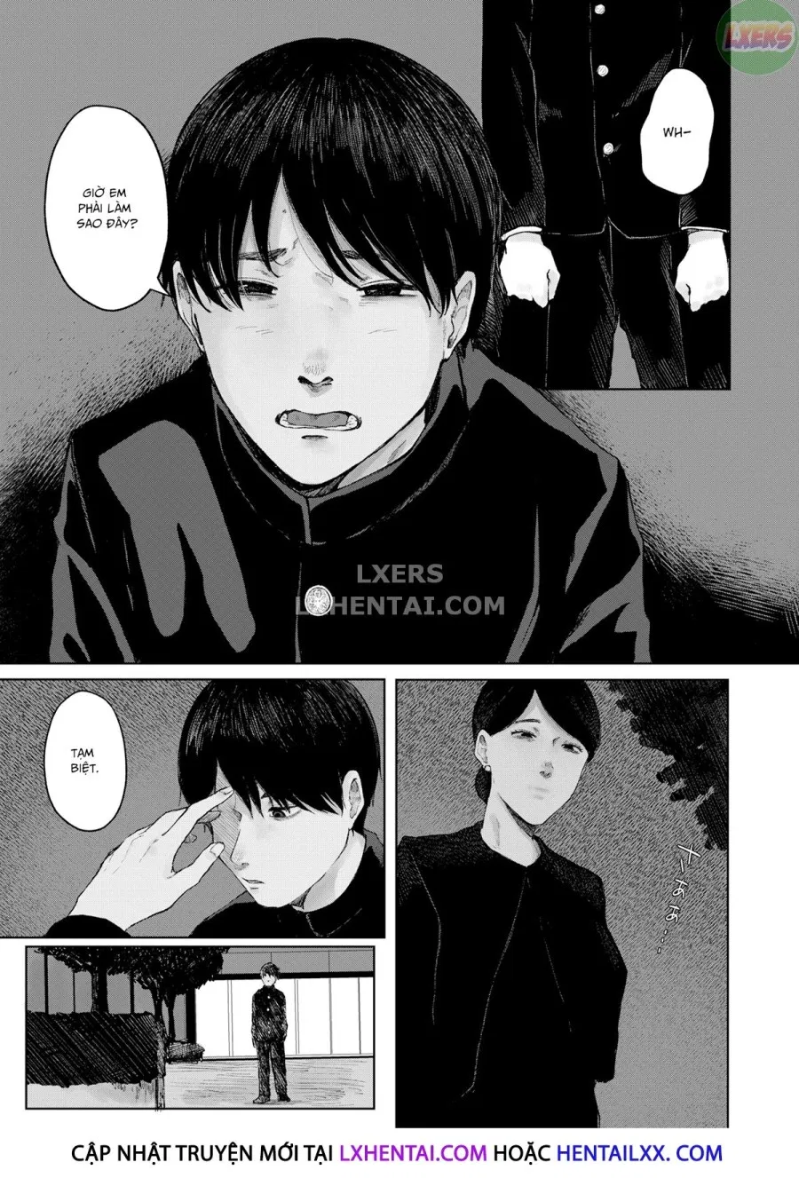 Đậm & Xanh 