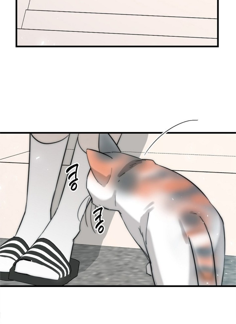 [18+] Thầy Giáo Sa Lưới 