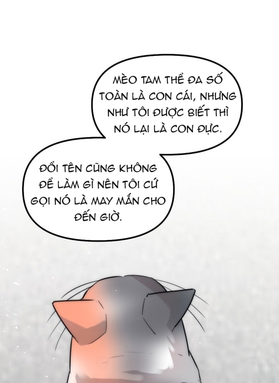 [18+] Thầy Giáo Sa Lưới 