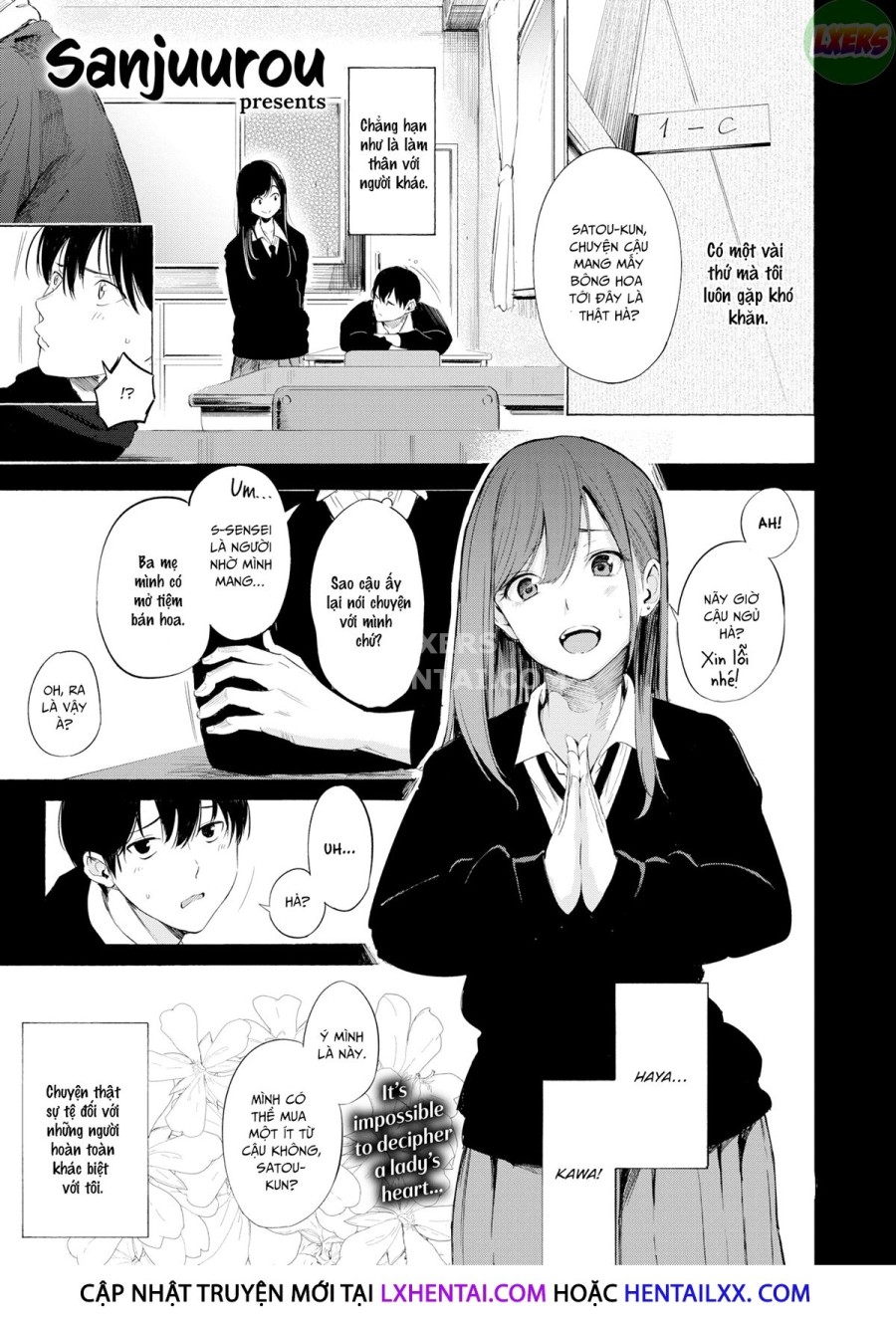 Hoa Phong lữ 