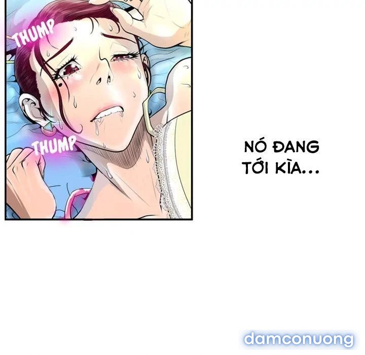 Hai Mặt 