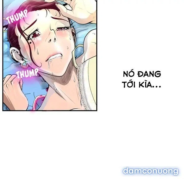 Hai Mặt 