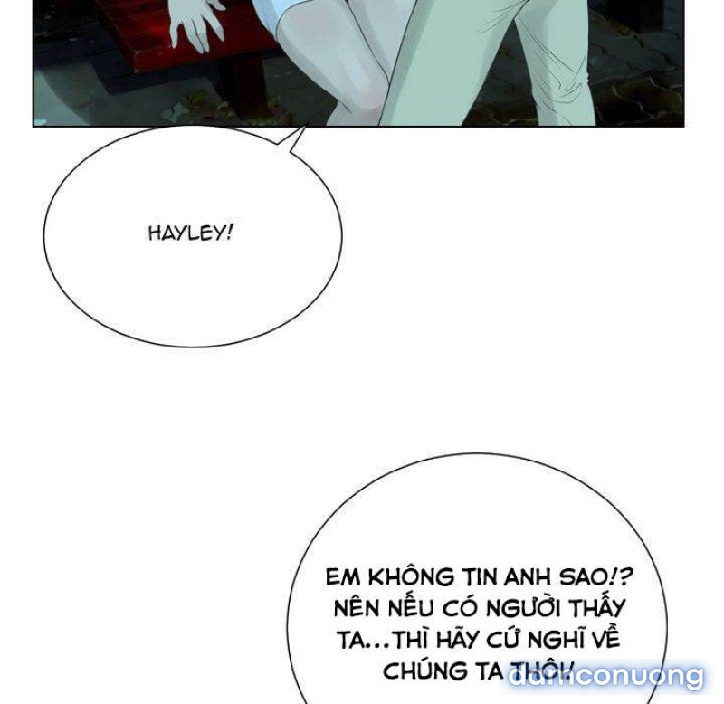 Hai Mặt 
