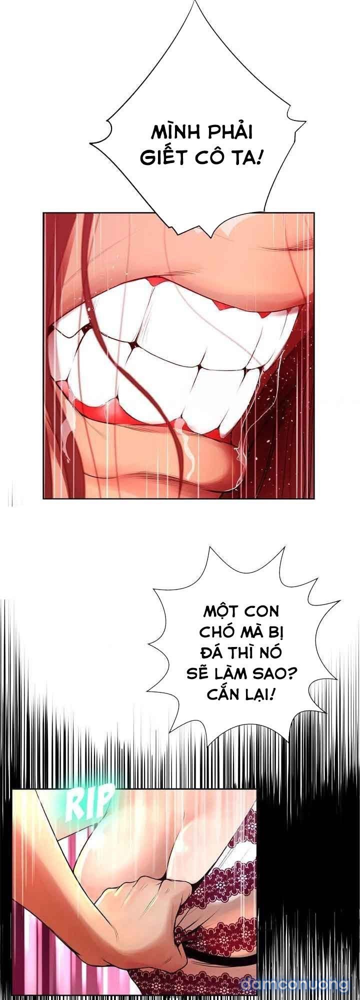 Hai Mặt 