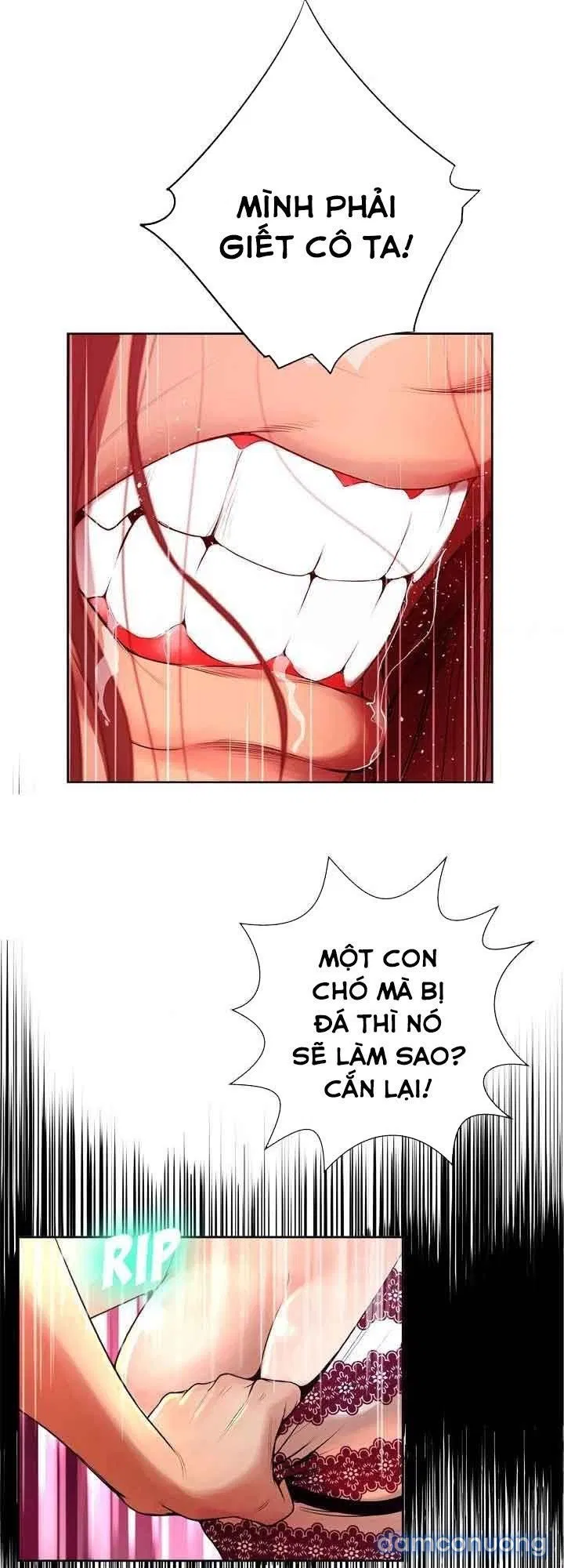 Hai Mặt 