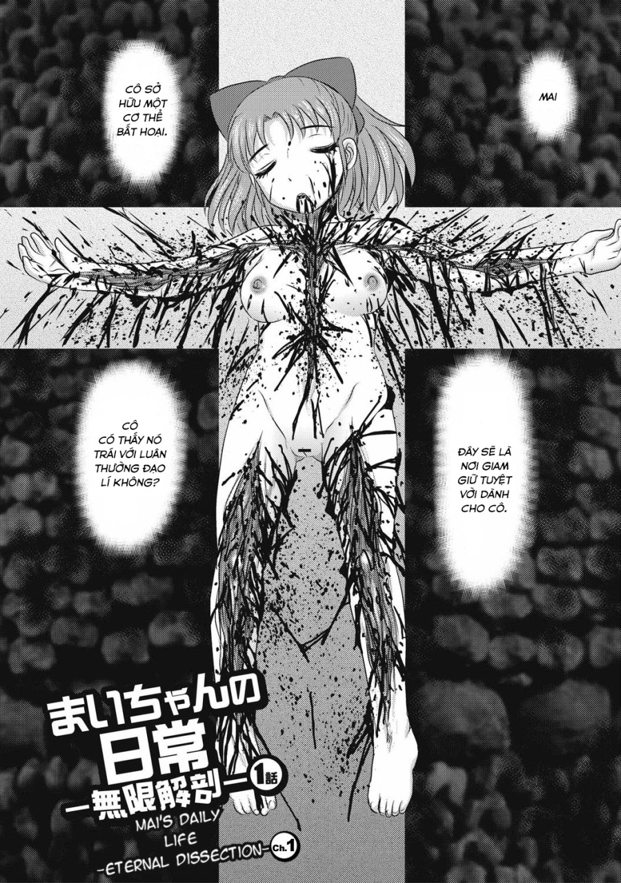 Mai's Daily Life -Eternal Dissection- 