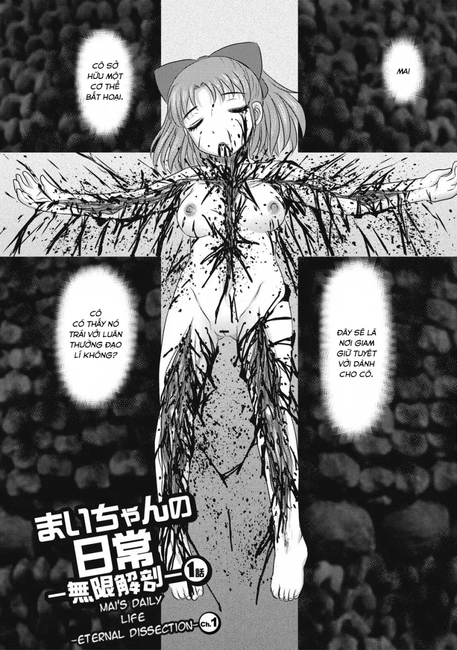 Mai's Daily Life -Eternal Dissection- 