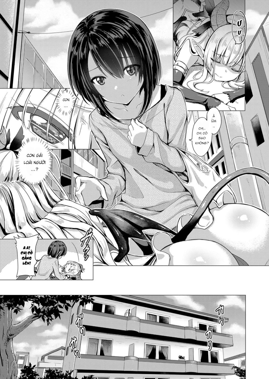 Succubus Company 