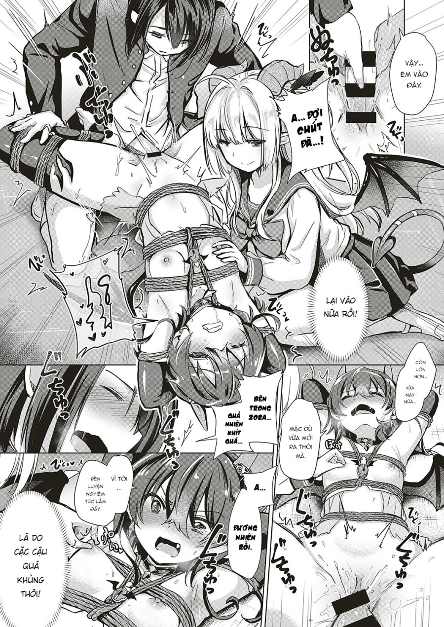 Succubus Company 