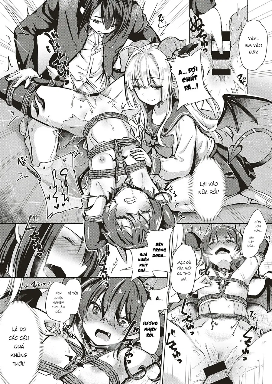 Succubus Company 