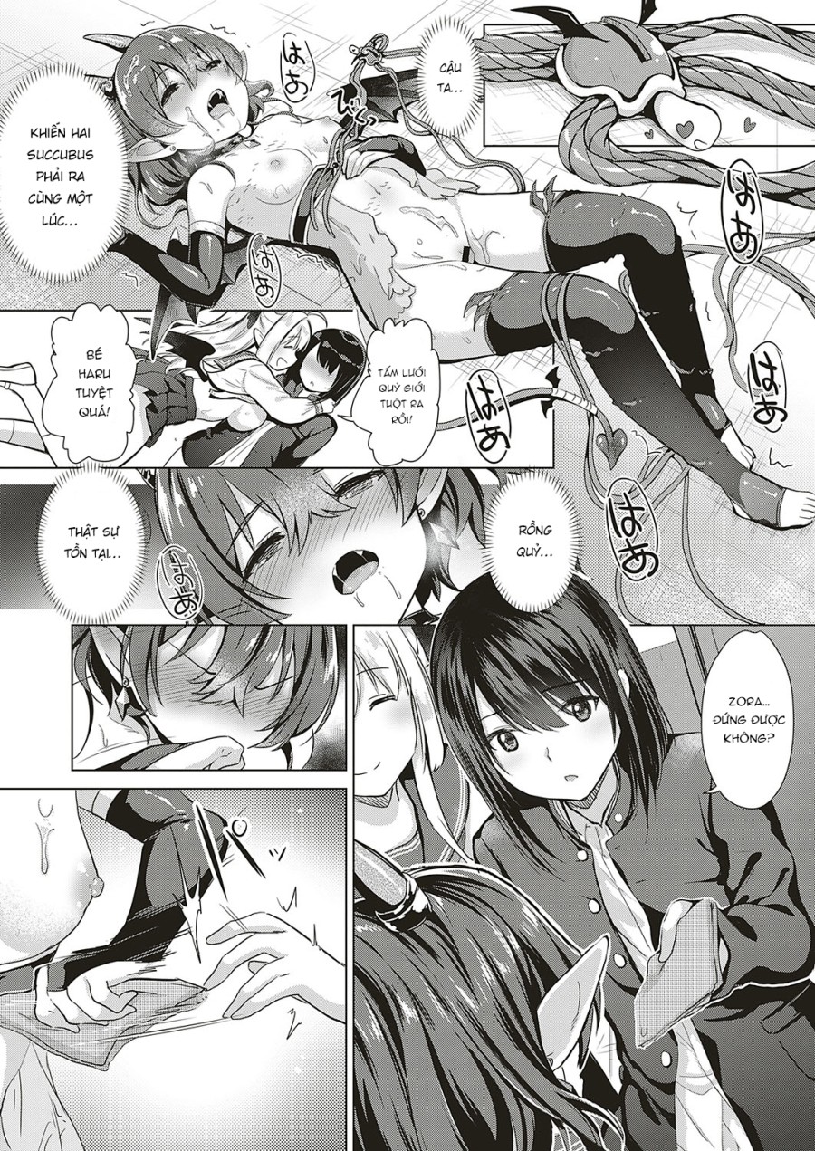 Succubus Company 