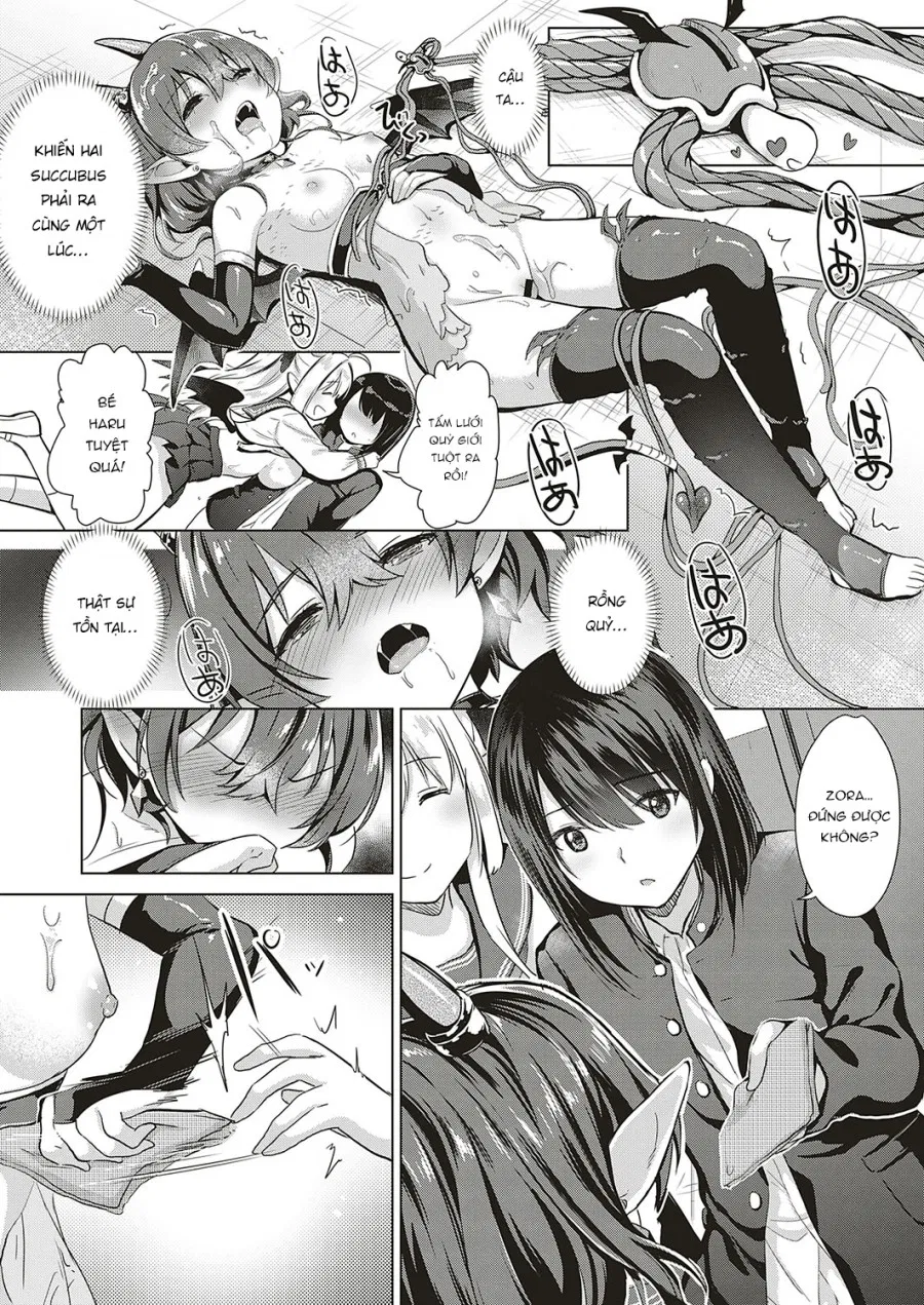Succubus Company 