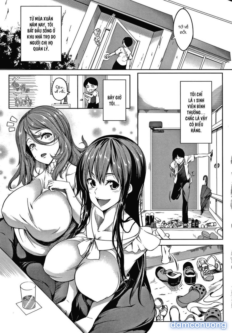 Oppai Switch 