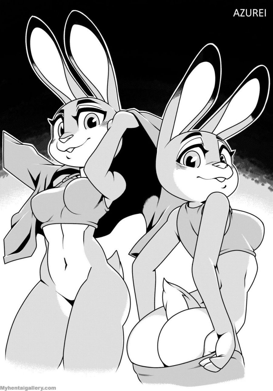Judy Hopps x Nick Wilde 