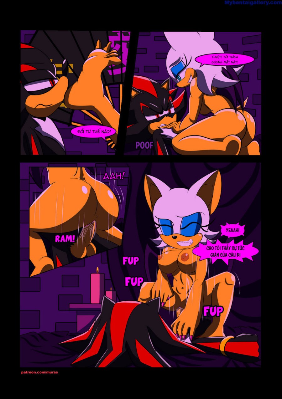 Partners 