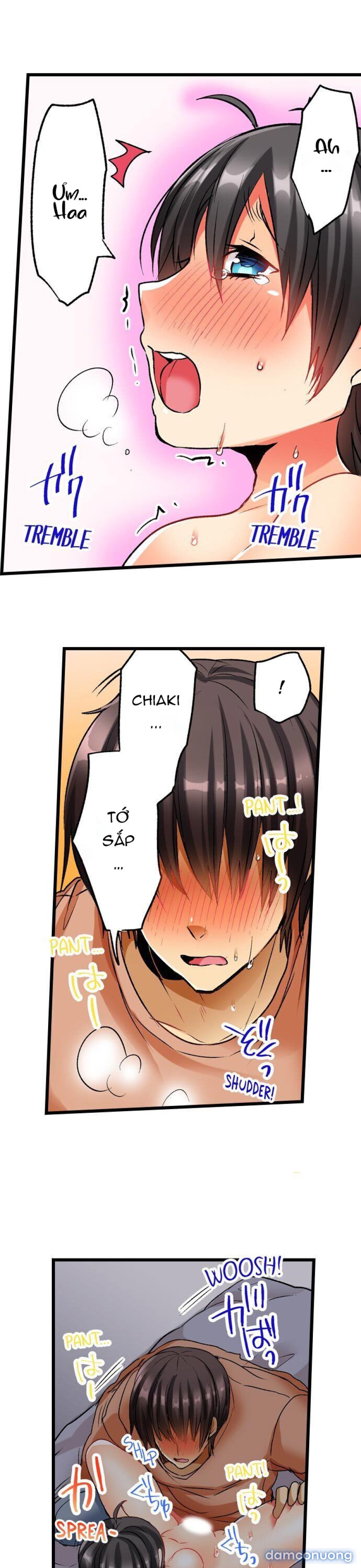 Không Yêu Đừng Địt 