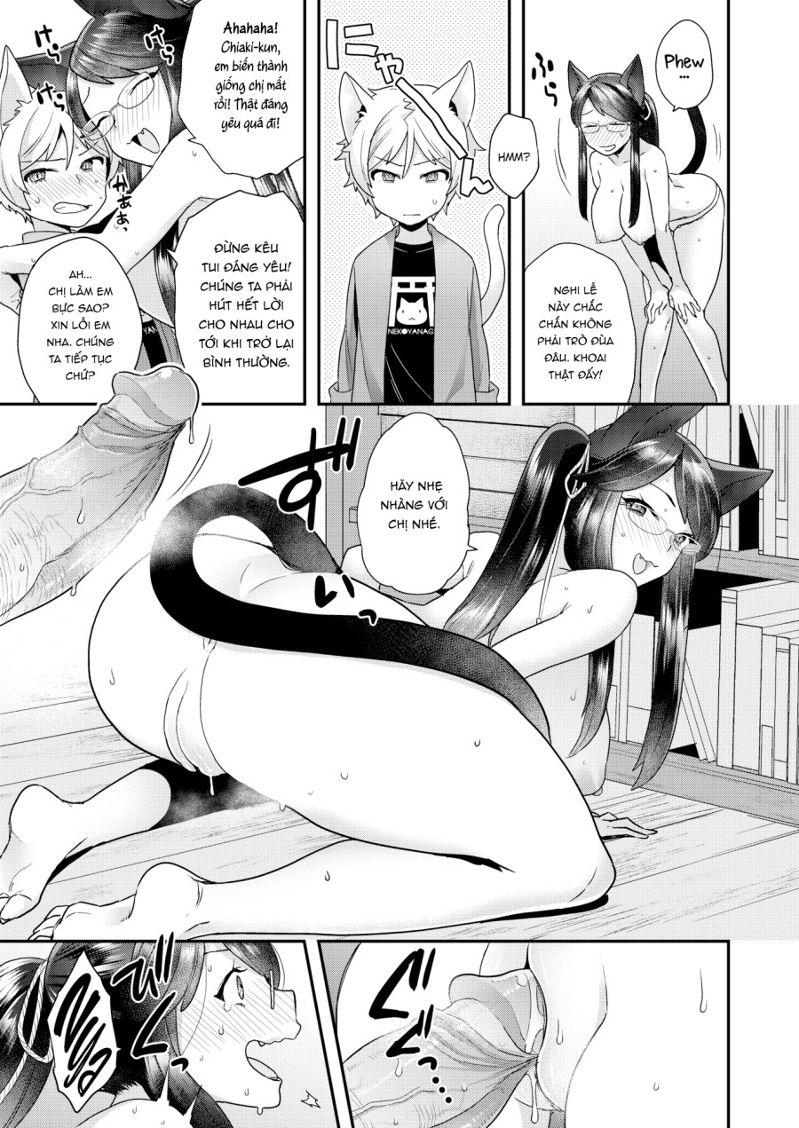 Nhún nhảy cùng Meow meow 