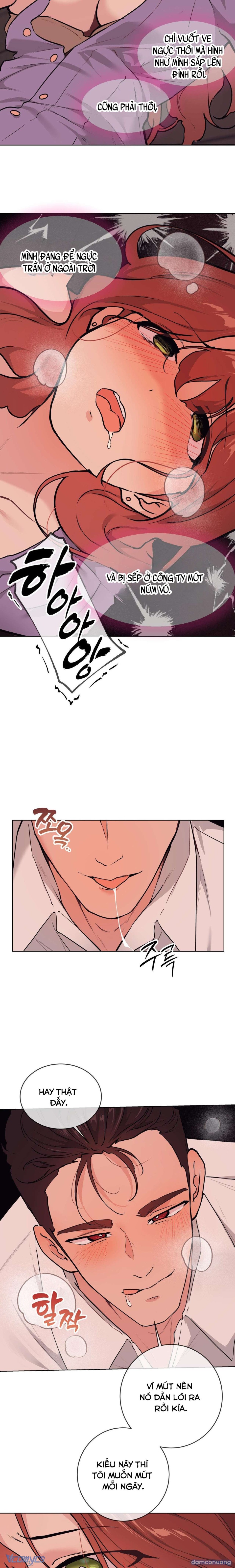 『18+』Cherry Pop 