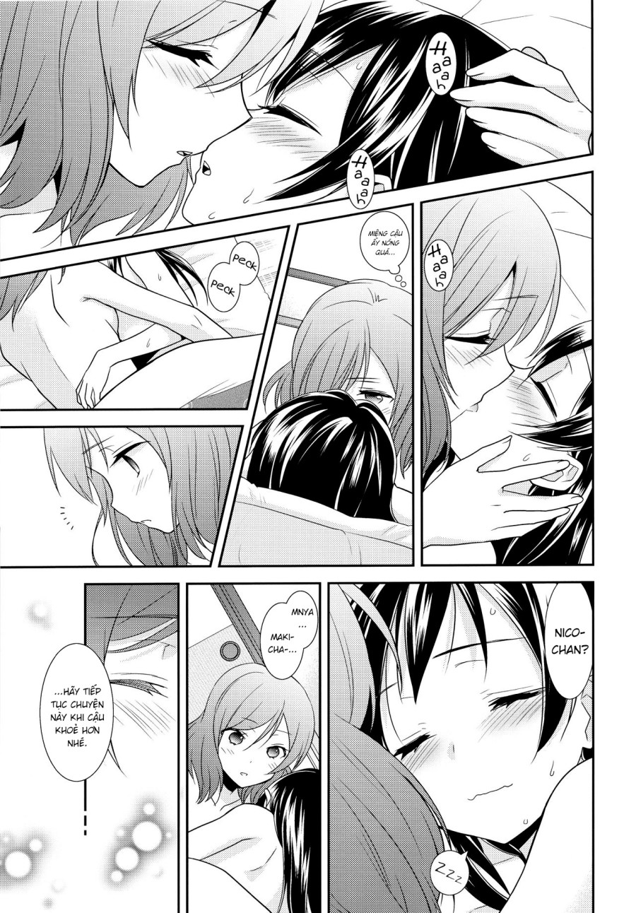 NICO&MAKI COLLECTION 