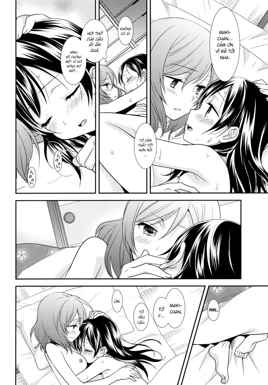 NICO&MAKI COLLECTION 