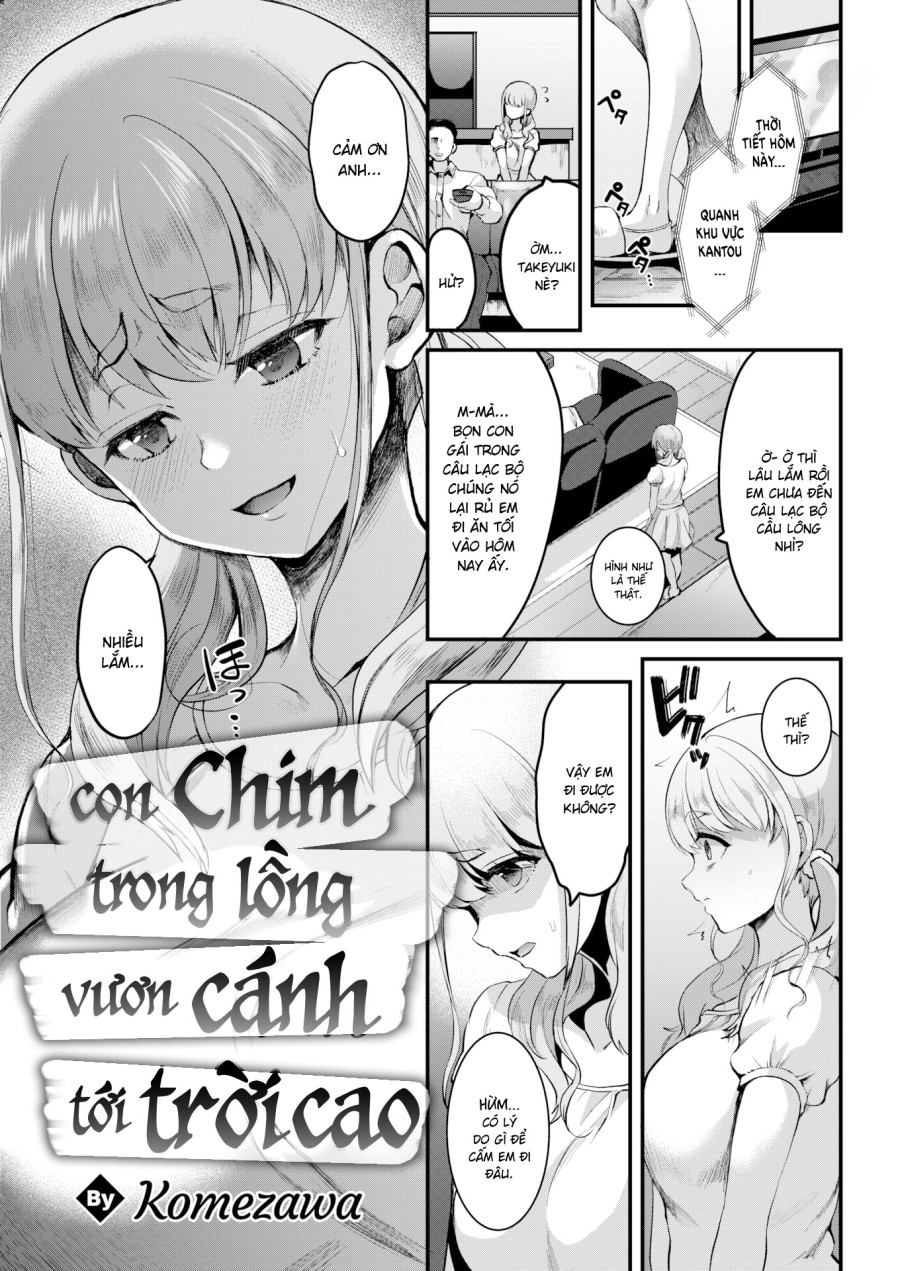 Con chim trong lồng vươn cánh tới trời cao 